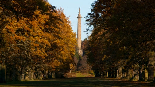 Gibside Column to Liberty framed by autumn trees along the Avenue